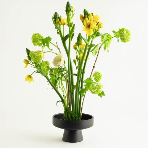 Sort moderne vase med grønne stilke, gule blomster og grønne blade mod hvid baggrund. (1)
