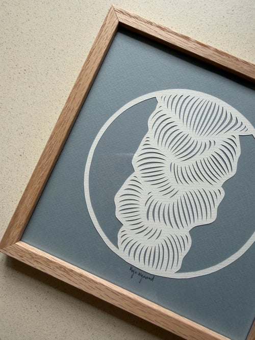 20x20cm, papercut, dueblå, indrammet  (2)