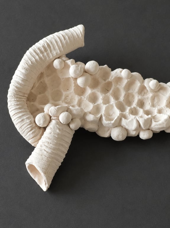 BESTILLINGSVARE: Organ billede 4