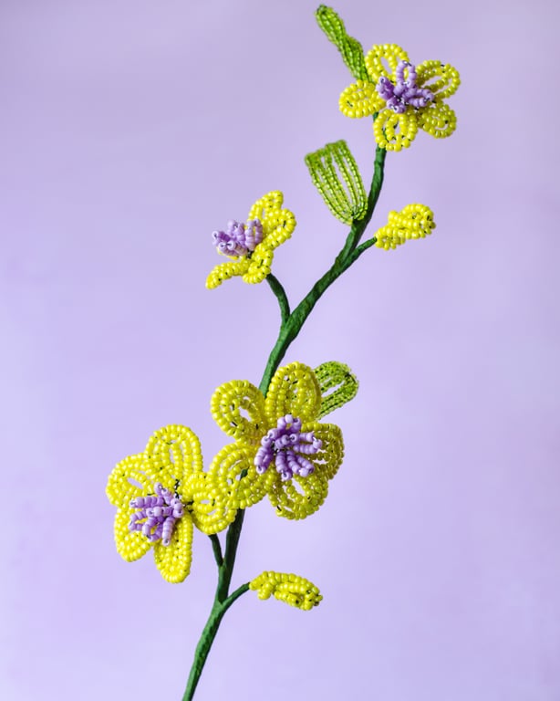 Florina - Limegul perleblomst billede 5