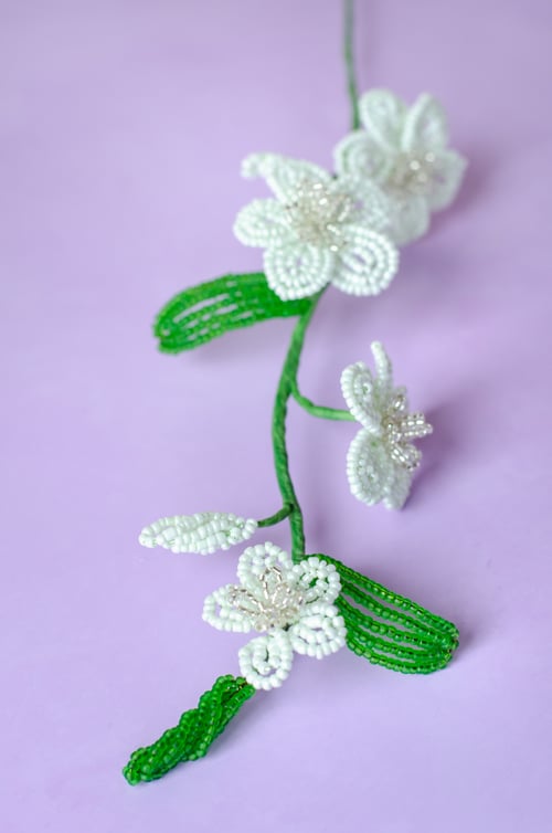 Florina - Perlemint (1)