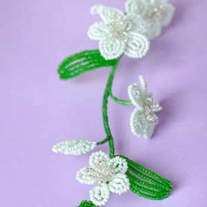 Florina - Perlemint – produktbillede