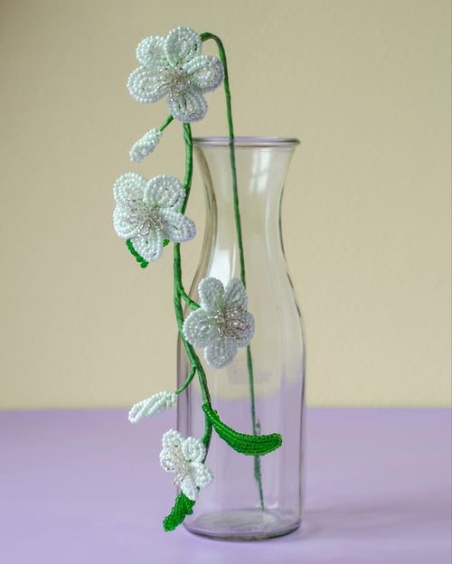 Florina - Perlemint (2)