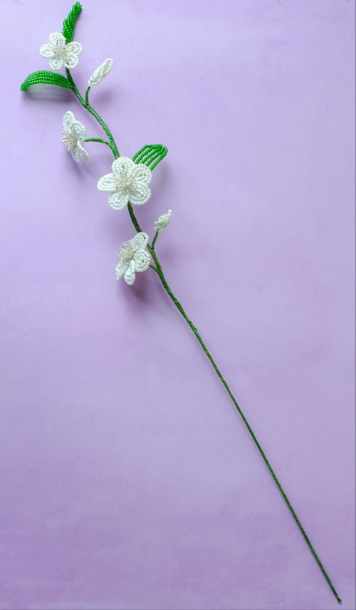 Florina - Perlemint (4)