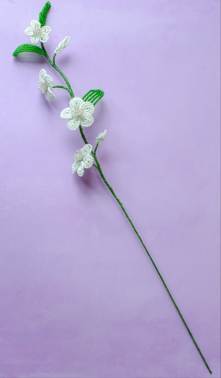 Florina - Perlemint billede 4