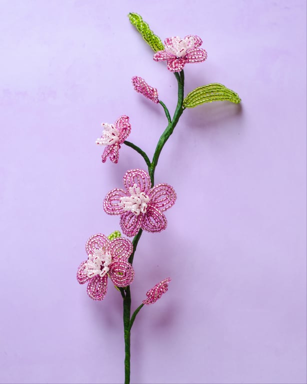 Florina - Rosa