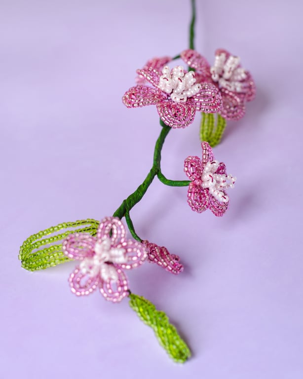 Florina - Rosa billede 3