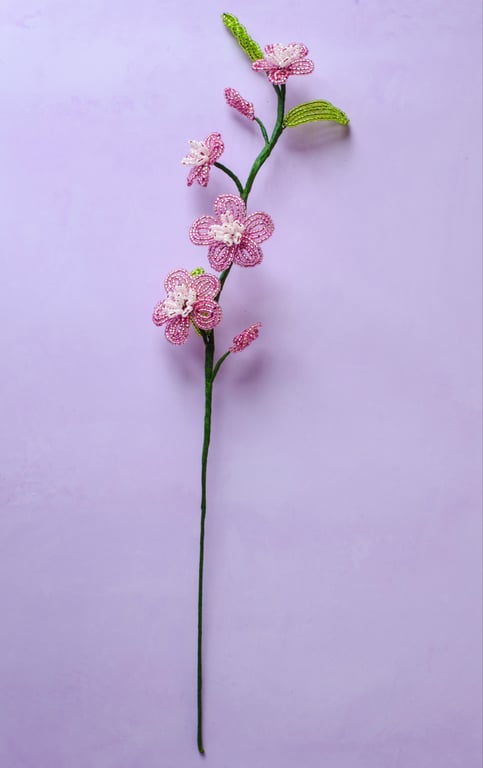 Florina - Rosa billede 2