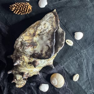 sireneskal – produktbillede
