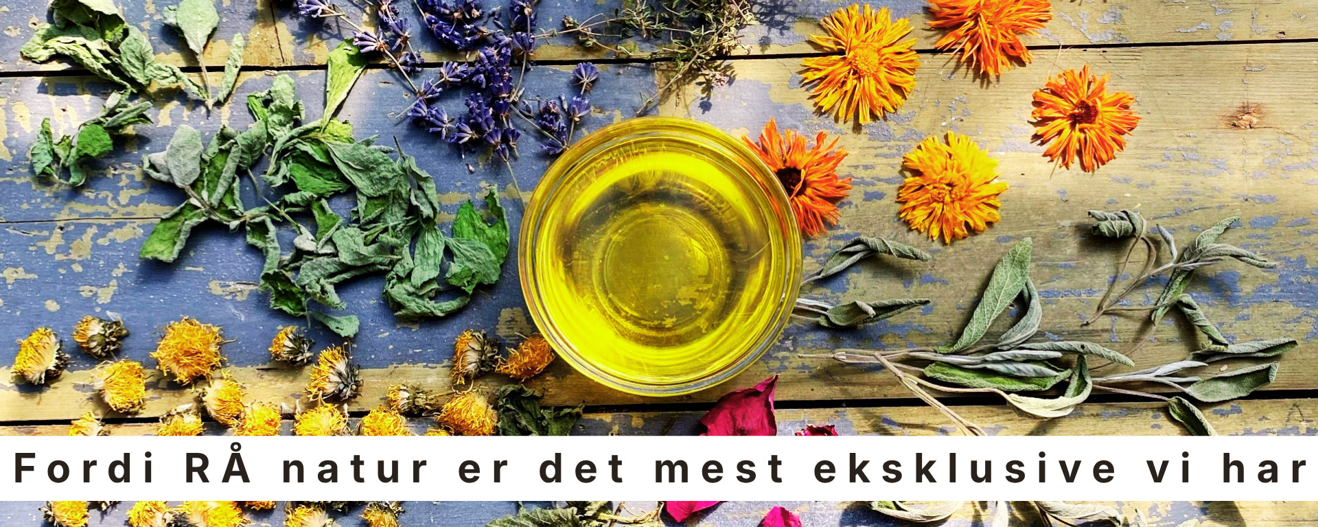 Velkommen