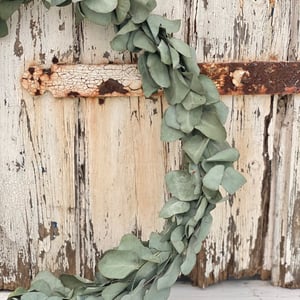 Eucalyptus krans. – produktbillede