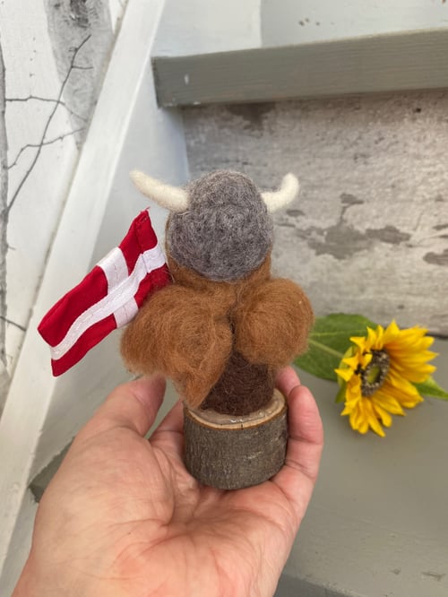 Vikinge mø (2)