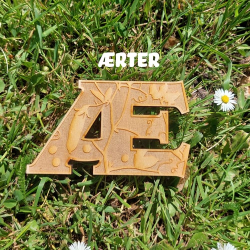 Bogstaver i træ (29)