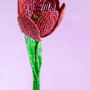 Stor tulipan - Metallic rød – produktbillede