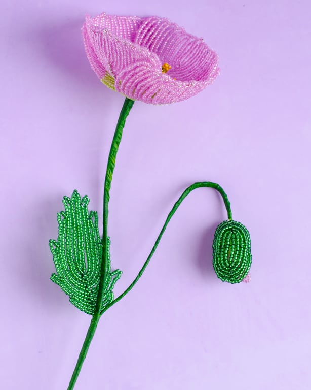 Islandsk valmue - Pink perlemor billede 2