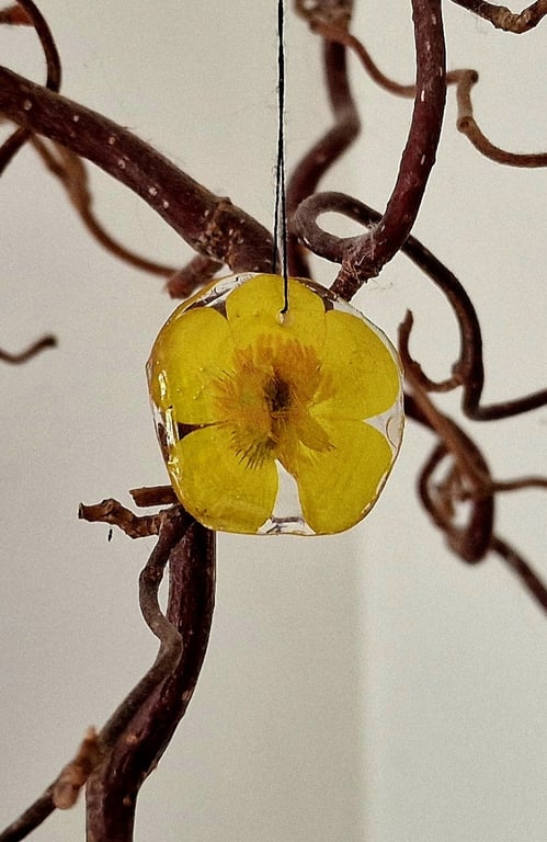 Smørblomst 