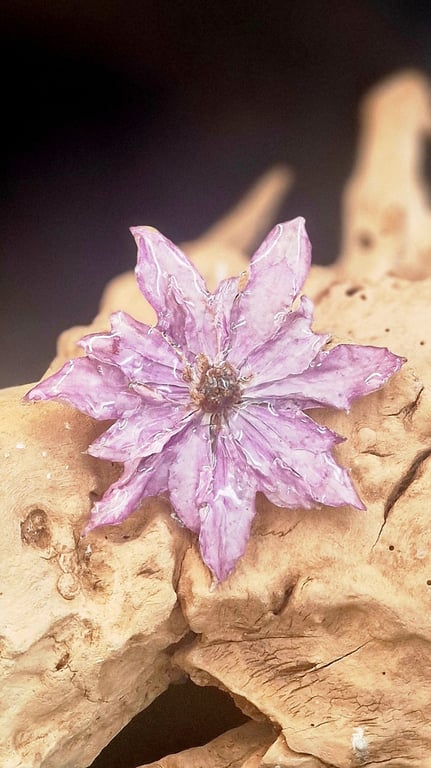 Klematis broche
