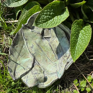 skræppeskål – produktbillede