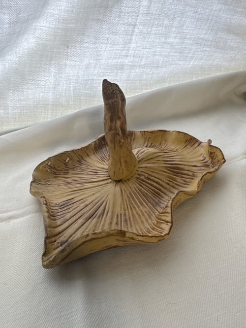 svampefad (3)