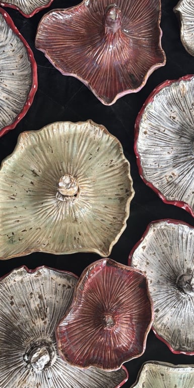 svampefad