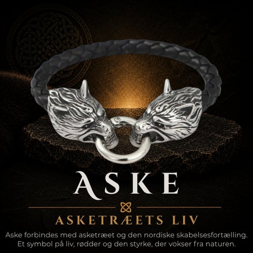 Aske (1)
