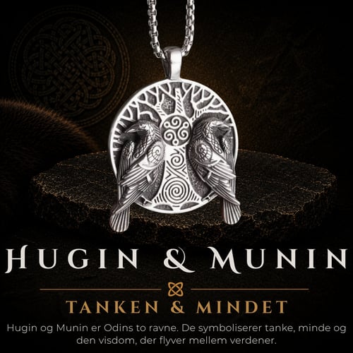 Hugin & Munin (1)