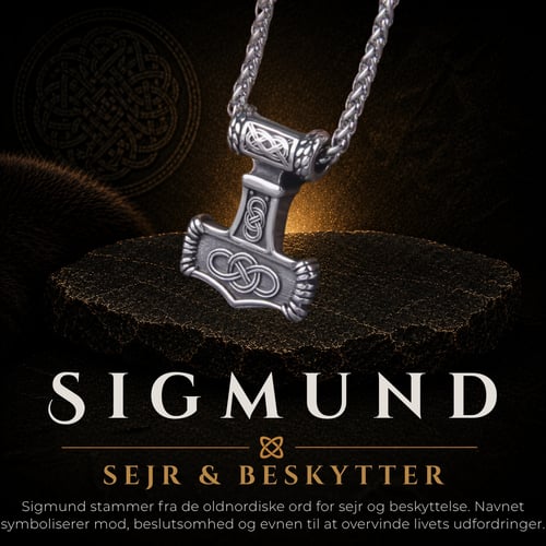 Sigmund (2)