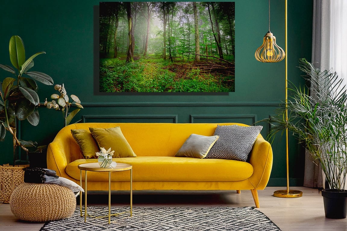 En tidlig diset sommermorgen i Klinteskoven på Møn billede 2