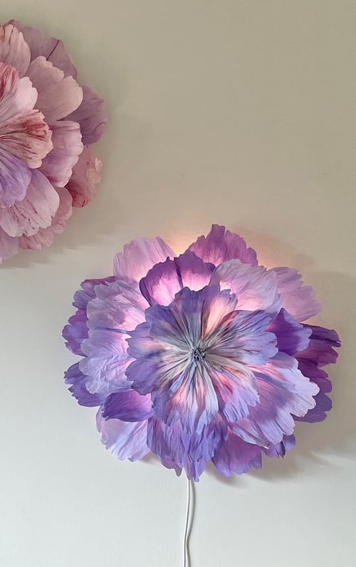 Viola bestilling  (3)