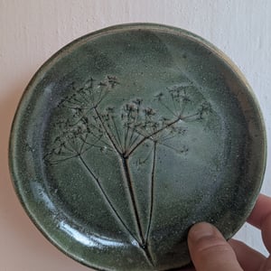 kagetallerken med Vild gulerod  – produktbillede