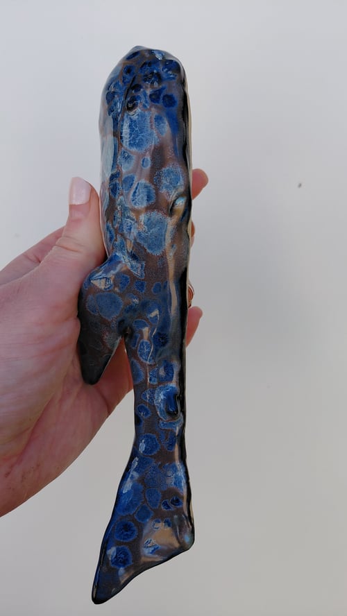 svømmer pukkelhval  (6)