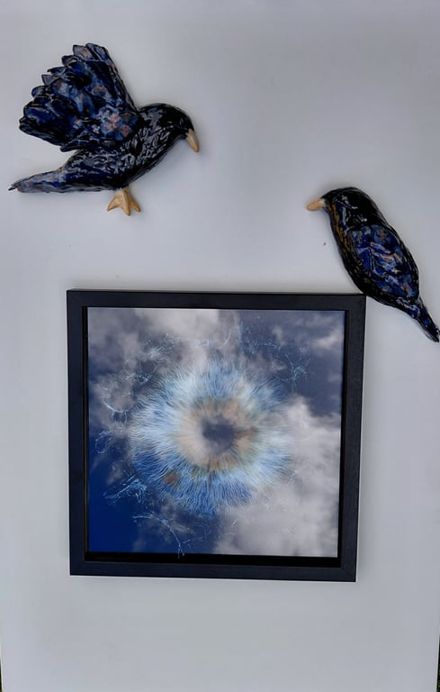 Hugin og Munin 
