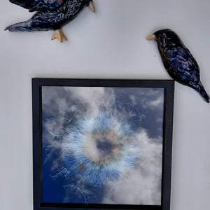 Hugin og Munin  – produktbillede
