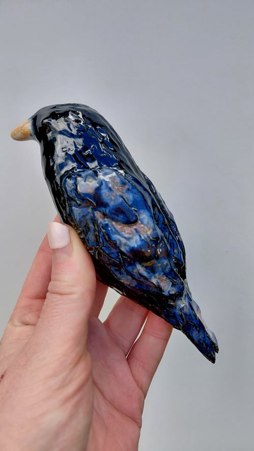Hugin og Munin  (2)