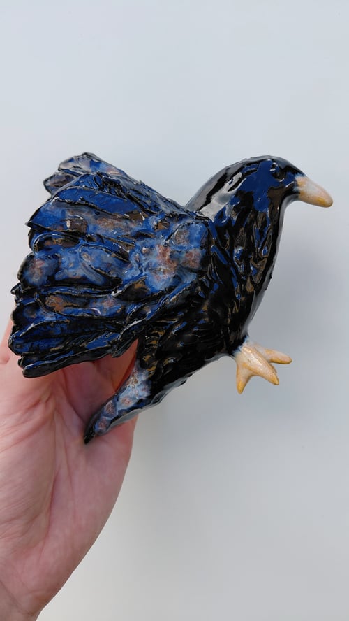 Hugin og Munin  (3)