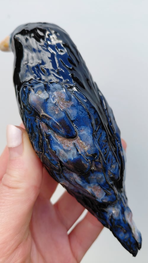 Hugin og Munin  (4)