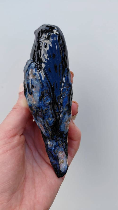 Hugin og Munin  (5)