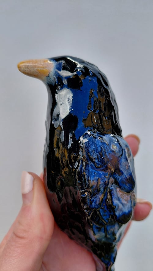 Hugin og Munin  (6)