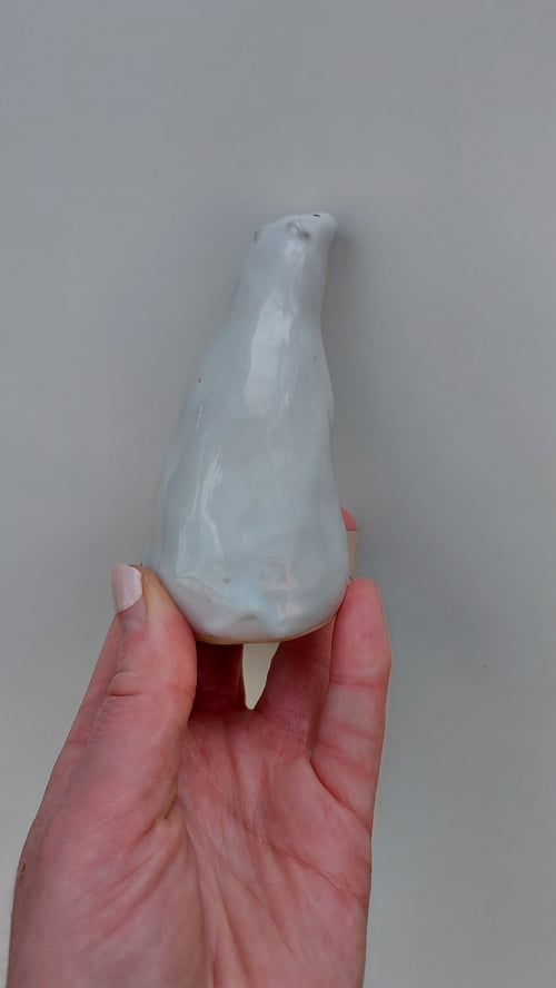 stjernekiggende isbjørn, 2 sort (4)
