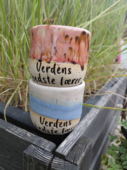 Verdens bedste lærer (2)