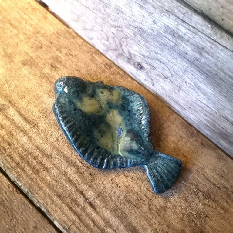 Rødspætte, blå billede 5