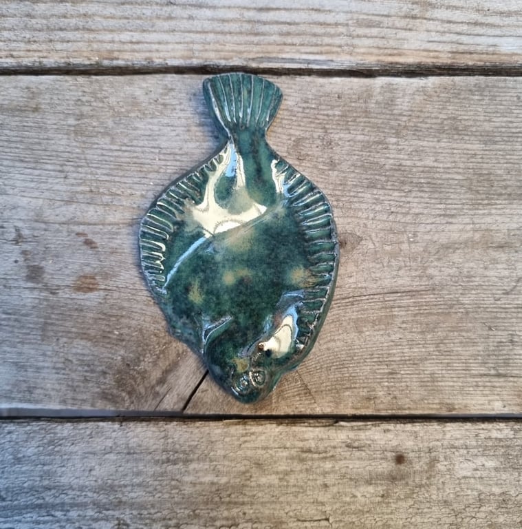Rødspætte, blå billede 2