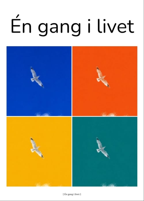 Mågen – fire farver
