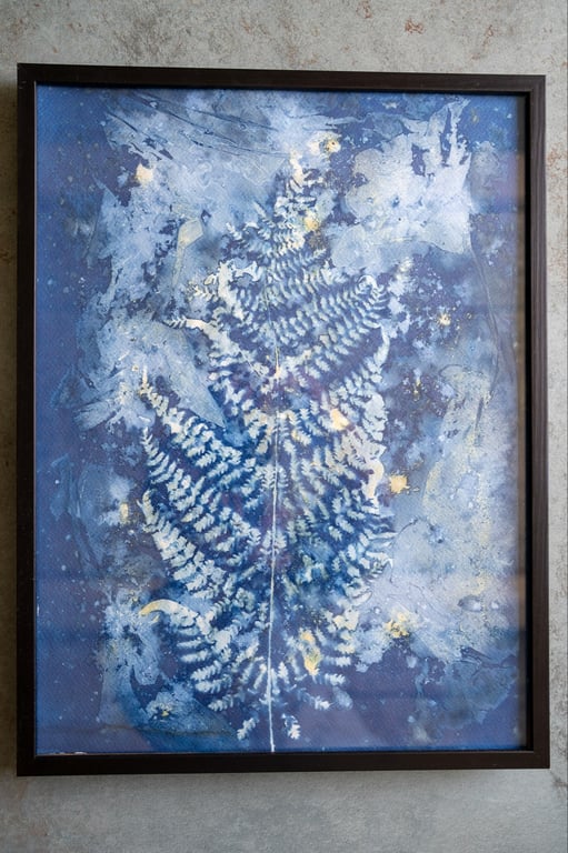 Cyanotype "Bregner #3" billede 5