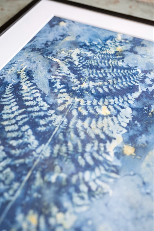 Cyanotype "Bregner #3" billede 2