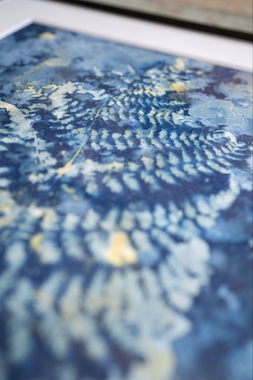 Cyanotype "Bregner #3" billede 4