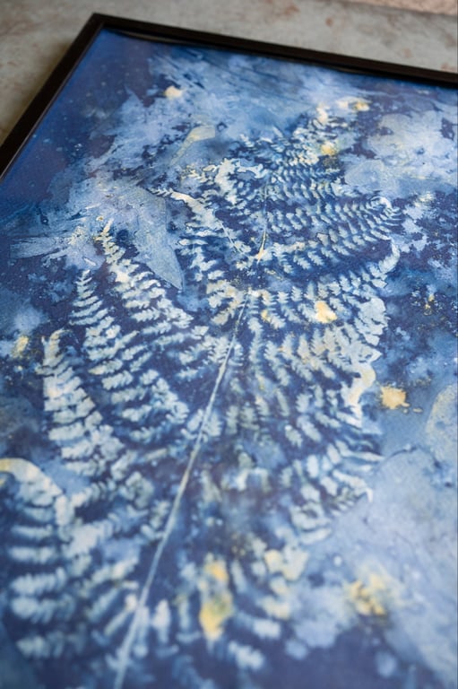 Cyanotype "Bregner #3" billede 6
