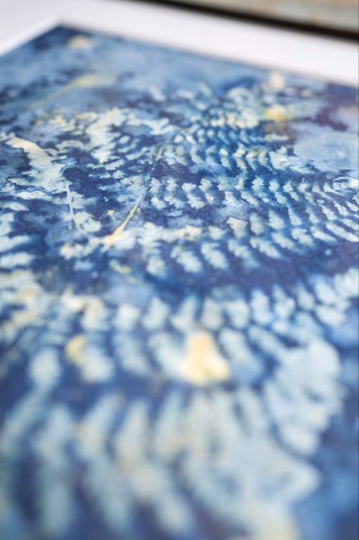 Cyanotype "Bregner #3" billede 3