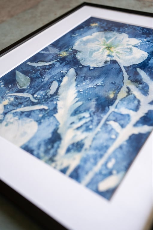 Cyanotype "Valmue #1" billede 4
