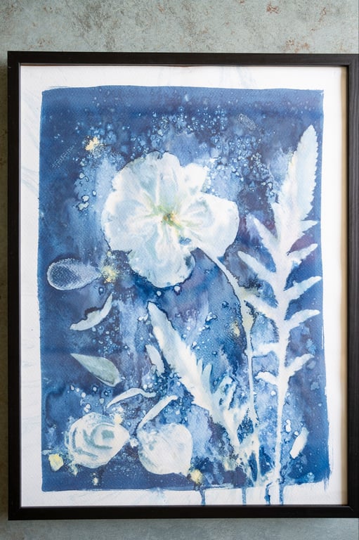 Cyanotype "Valmue #1" billede 5